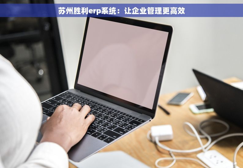 苏州胜利erp系统：让企业管理更高效