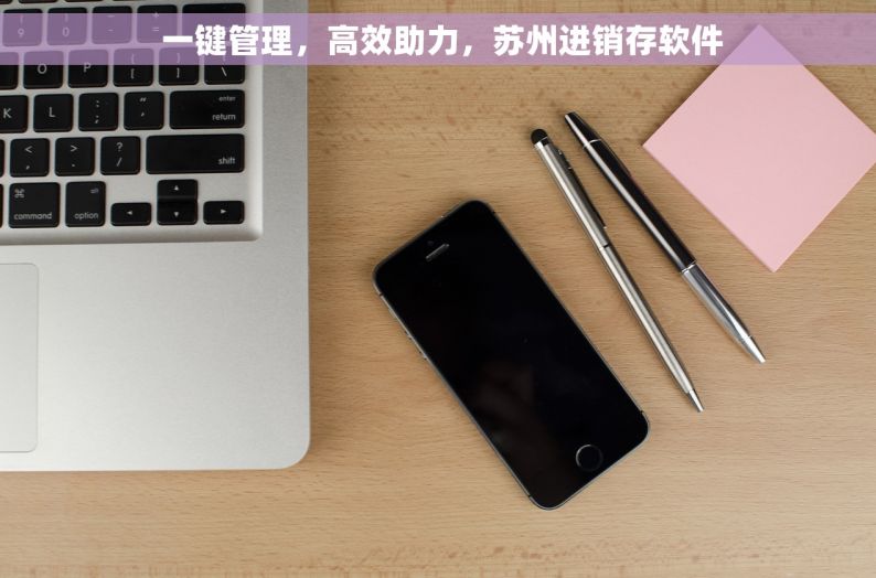  一键管理，高效助力，苏州进销存软件