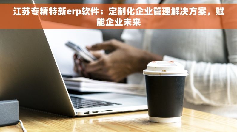 江苏专精特新erp软件：定制化企业管理解决方案，赋能企业未来