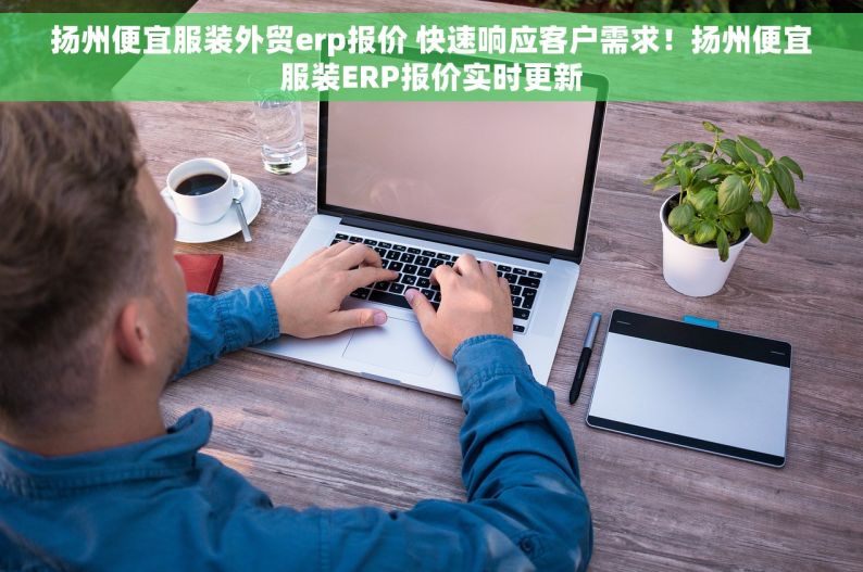 扬州便宜服装外贸erp报价 快速响应客户需求！扬州便宜服装ERP报价实时更新