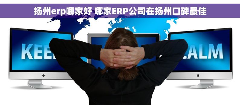 扬州erp哪家好 	哪家ERP公司在扬州口碑最佳