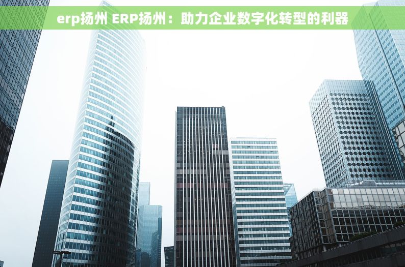 erp扬州 ERP扬州：助力企业数字化转型的利器
