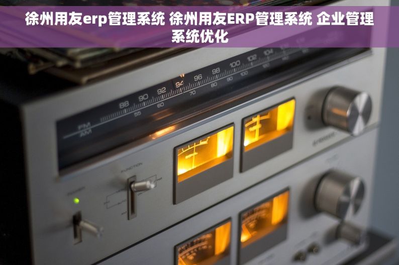 徐州用友erp管理系统 徐州用友ERP管理系统 企业管理系统优化