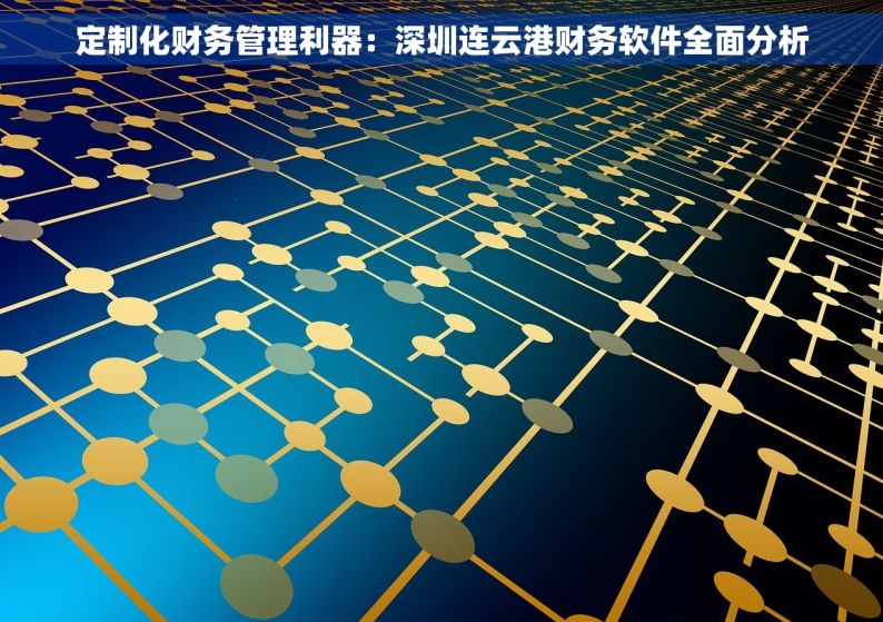 定制化财务管理利器：深圳连云港财务软件全面分析