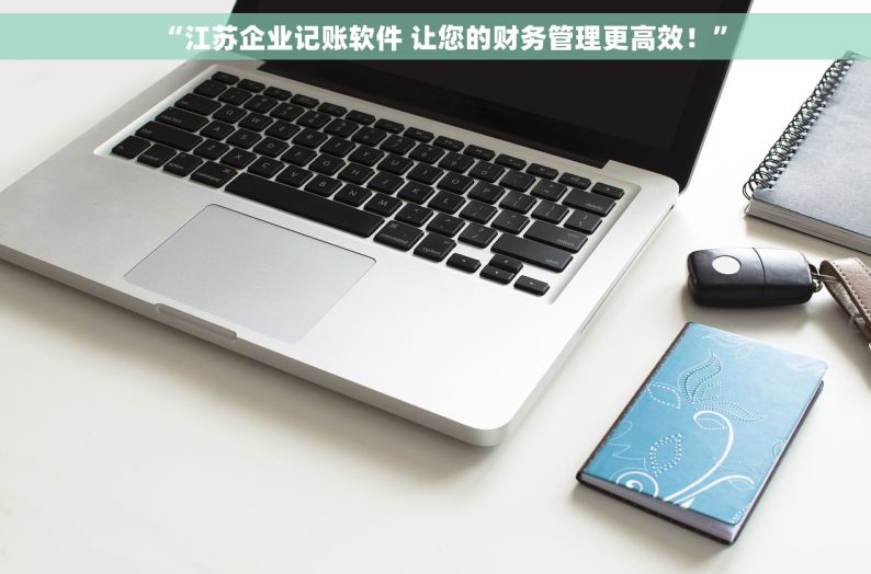 “江苏企业记账软件 让您的财务管理更高效！”