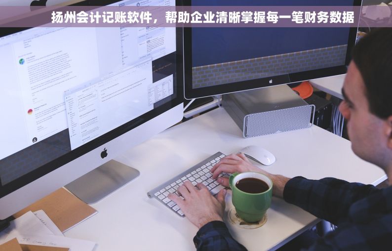     扬州会计记账软件，帮助企业清晰掌握每一笔财务数据