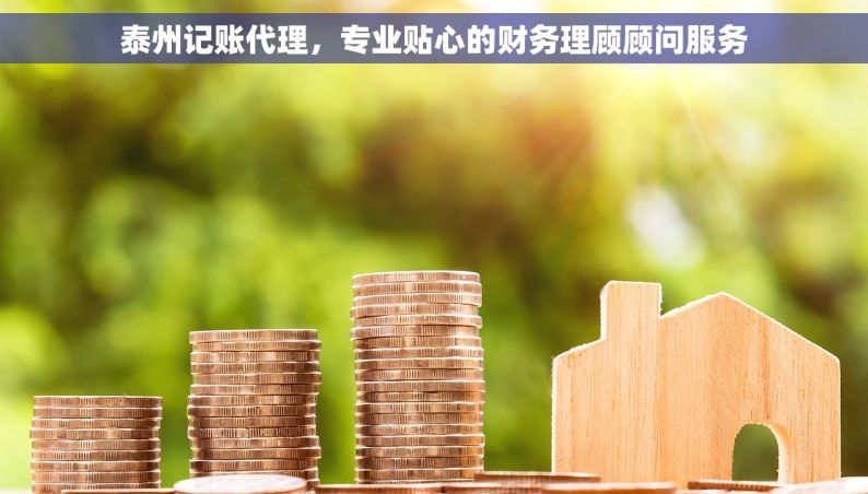 泰州记账代理，专业贴心的财务理顾顾问服务