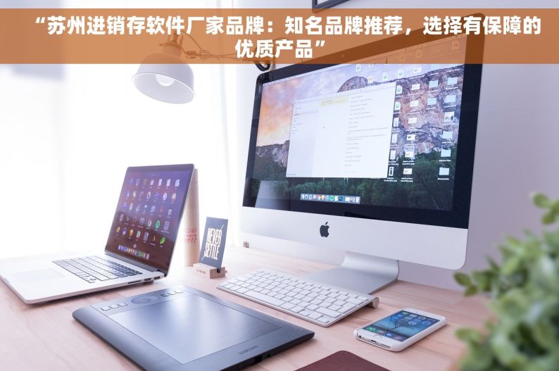 “苏州进销存软件厂家品牌：知名品牌推荐，选择有保障的优质产品”