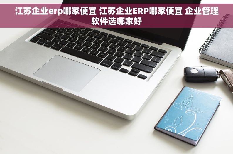 江苏企业erp哪家便宜 江苏企业ERP哪家便宜 企业管理软件选哪家好
