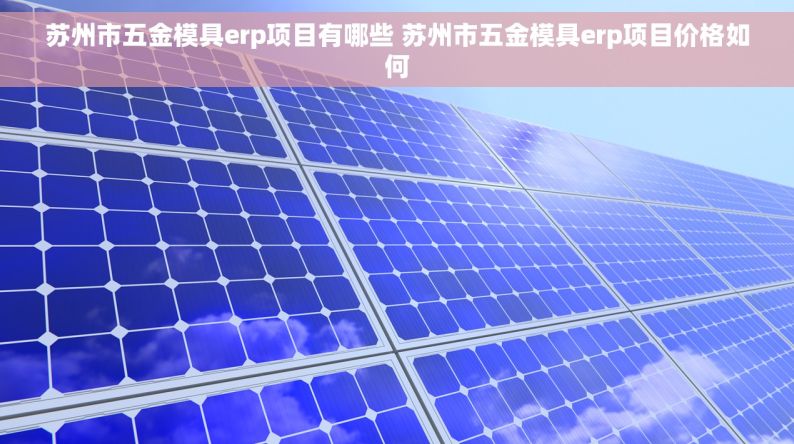 苏州市五金模具erp项目有哪些 苏州市五金模具erp项目价格如何