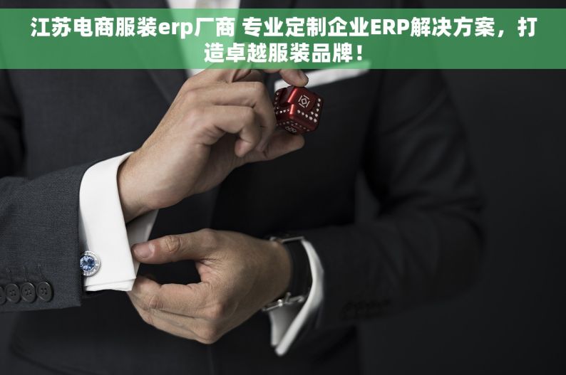 江苏电商服装erp厂商 专业定制企业ERP解决方案，打造卓越服装品牌！