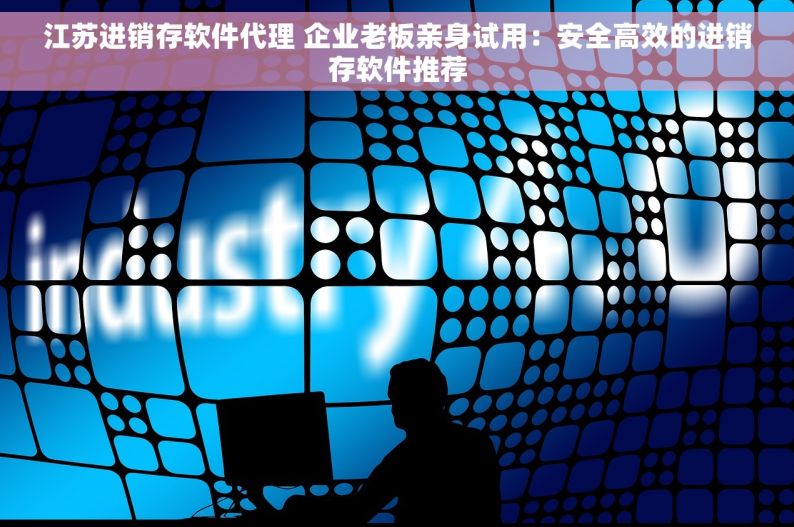 江苏进销存软件代理 企业老板亲身试用：安全高效的进销存软件推荐
