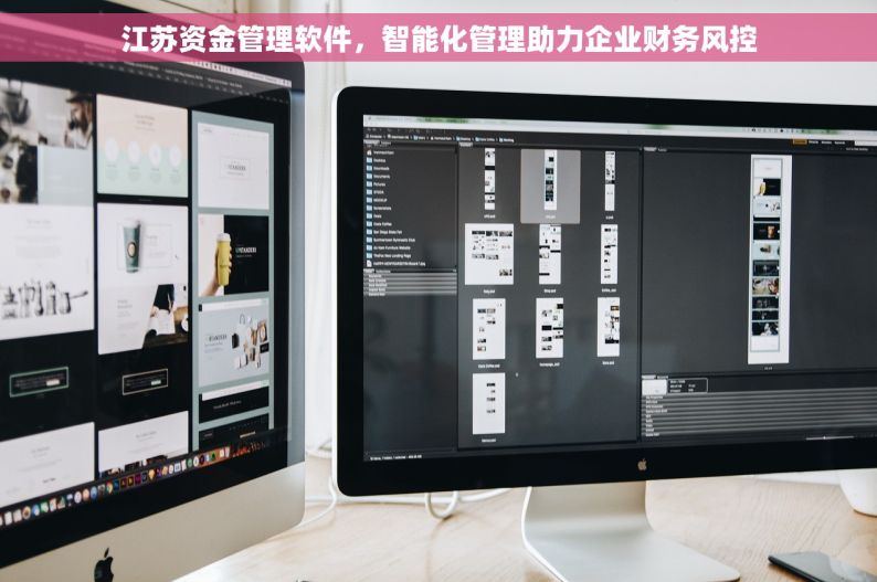 江苏资金管理软件，智能化管理助力企业财务风控