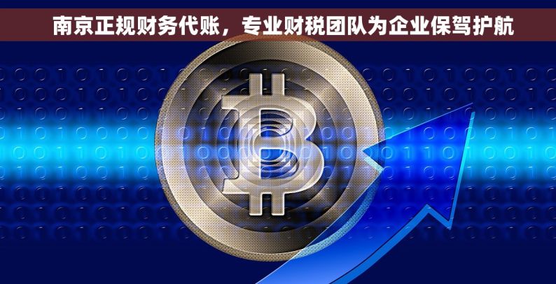   南京正规财务代账，专业财税团队为企业保驾护航