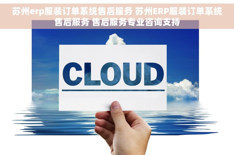 苏州erp服装订单系统售后服务 苏州ERP服装订单系统售后服务 售后服务专业咨询支持