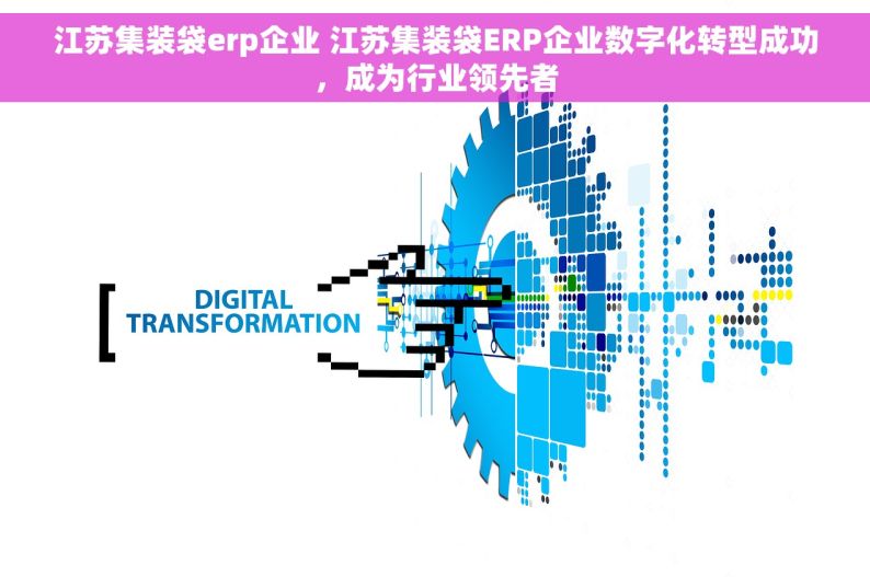 江苏集装袋erp企业 江苏集装袋ERP企业数字化转型成功，成为行业领先者
