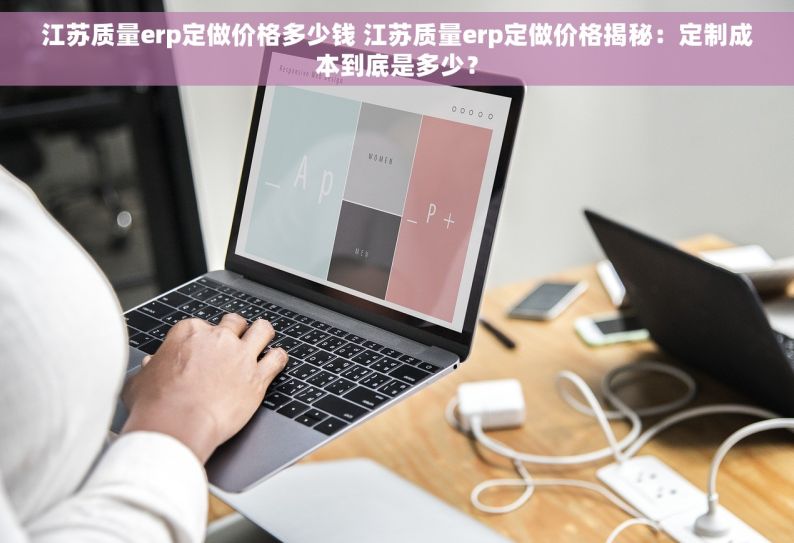 江苏质量erp定做价格多少钱 江苏质量erp定做价格揭秘：定制成本到底是多少？