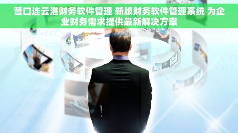 营口连云港财务软件管理 新版财务软件管理系统 为企业财务需求提供最新解决方案