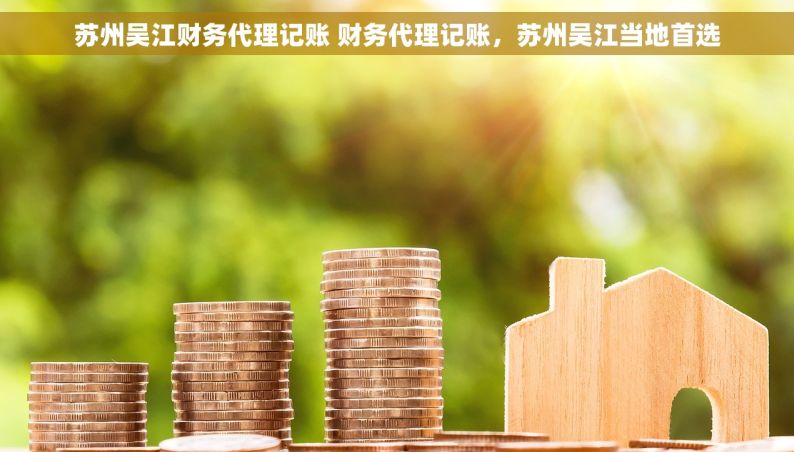 苏州吴江财务代理记账 财务代理记账，苏州吴江当地首选