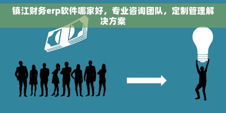 镇江财务erp软件哪家好，专业咨询团队，定制管理解决方案