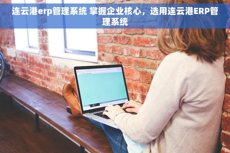 连云港erp管理系统 掌握企业核心，选用连云港ERP管理系统