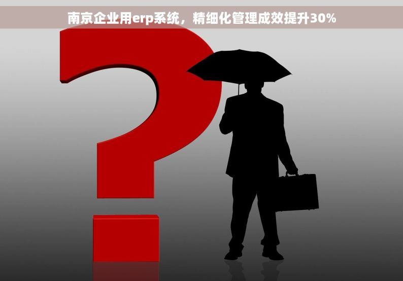 南京企业用erp系统，精细化管理成效提升30%