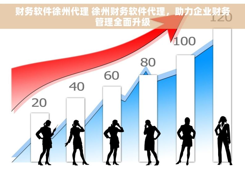 财务软件徐州代理 徐州财务软件代理，助力企业财务管理全面升级
