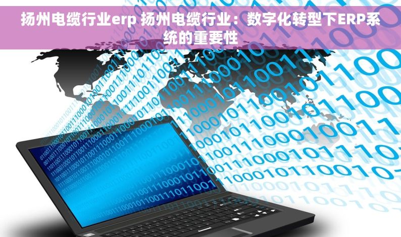 扬州电缆行业erp 扬州电缆行业：数字化转型下ERP系统的重要性