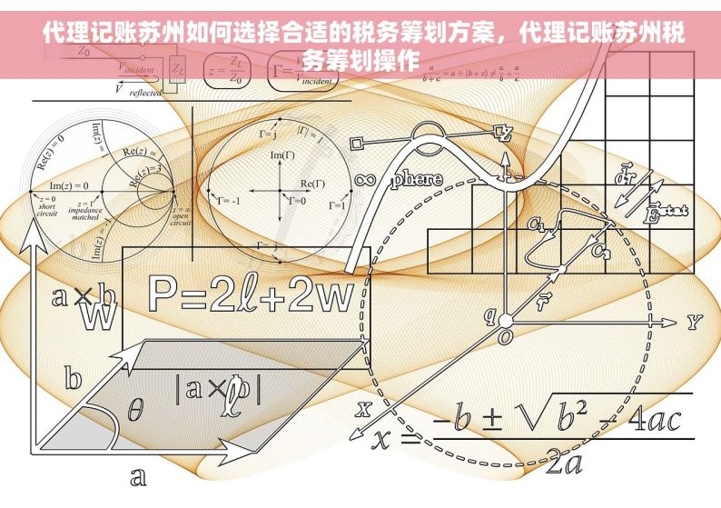 代理记账苏州如何选择合适的税务筹划方案，代理记账苏州税务筹划操作