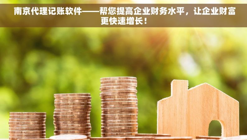  南京代理记账软件——帮您提高企业财务水平，让企业财富更快速增长！