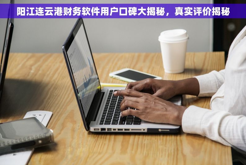 阳江连云港财务软件用户口碑大揭秘，真实评价揭秘