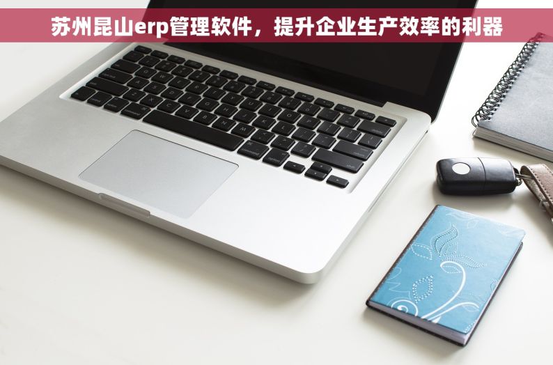 苏州昆山erp管理软件，提升企业生产效率的利器