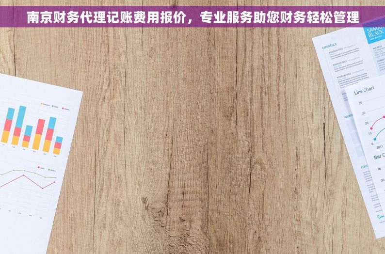 南京财务代理记账费用报价，专业服务助您财务轻松管理