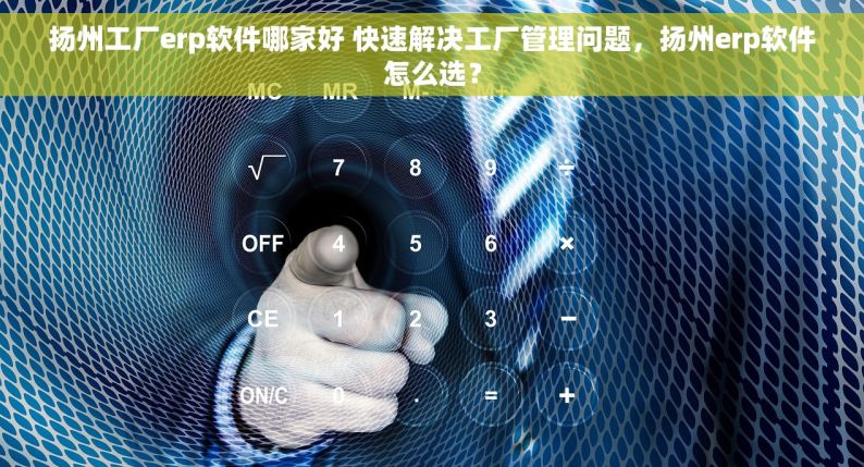 扬州工厂erp软件哪家好 快速解决工厂管理问题，扬州erp软件怎么选？