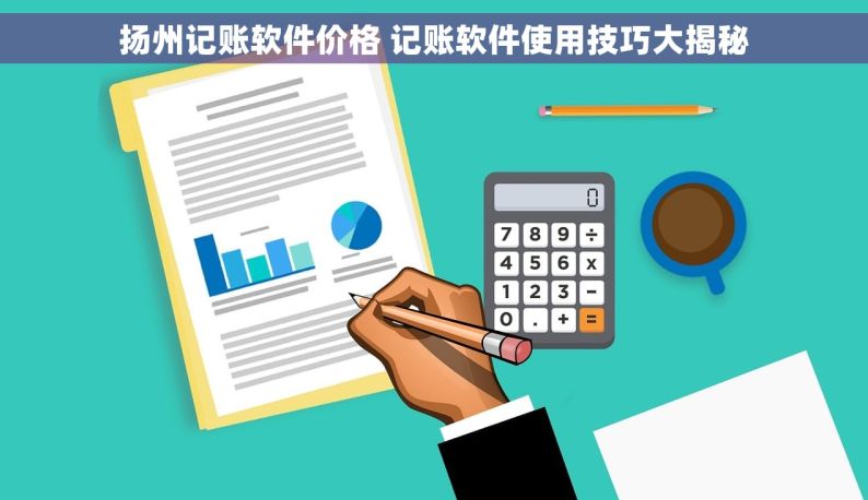 扬州记账软件价格 记账软件使用技巧大揭秘