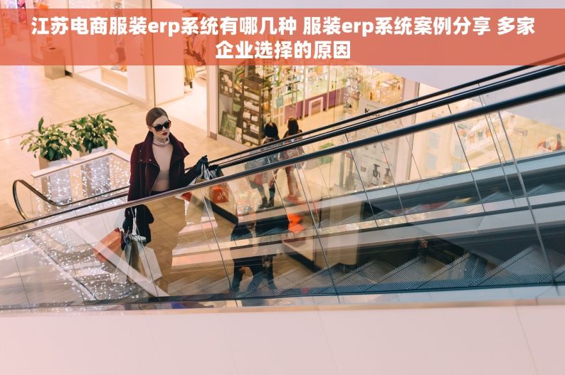 江苏电商服装erp系统有哪几种 服装erp系统案例分享 多家企业选择的原因