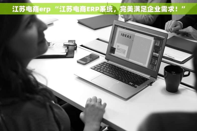 江苏电商erp “江苏电商ERP系统，完美满足企业需求！”