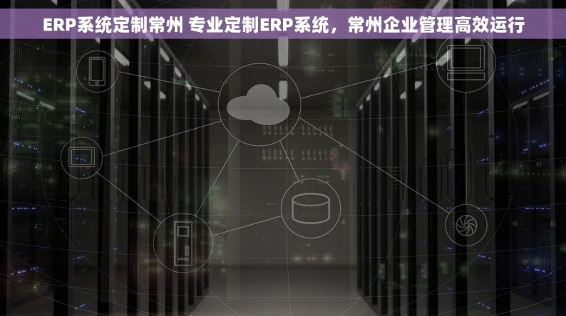 ERP系统定制常州 专业定制ERP系统，常州企业管理高效运行