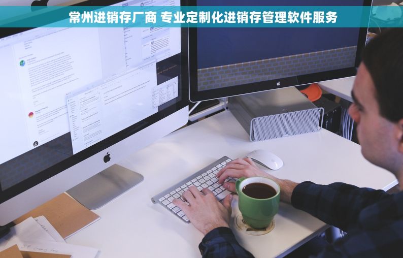  常州进销存厂商 专业定制化进销存管理软件服务