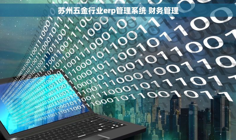 苏州五金行业erp管理系统 财务管理