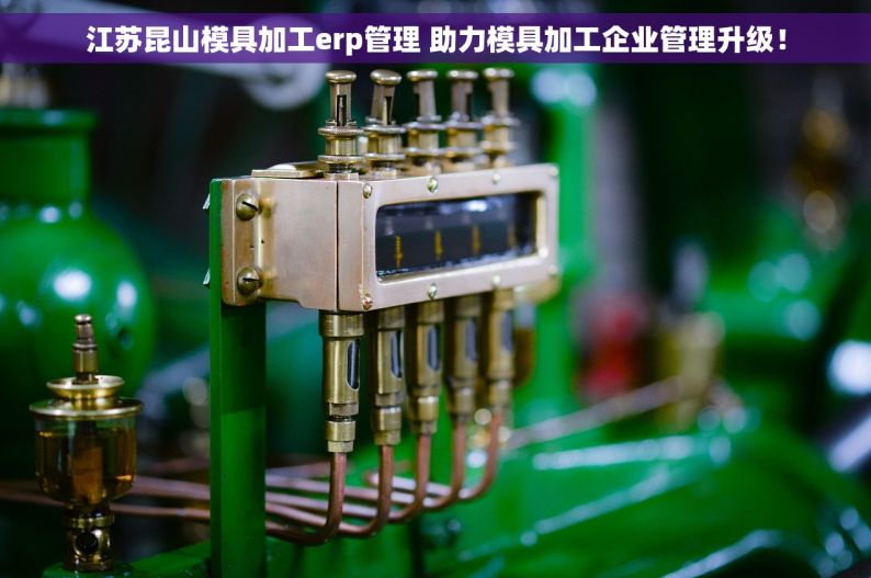 江苏昆山模具加工erp管理 助力模具加工企业管理升级！