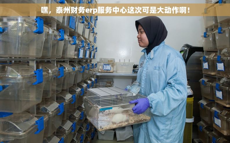 嘿，泰州财务erp服务中心这次可是大动作啊！