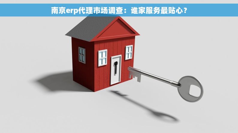 南京erp代理市场调查：谁家服务最贴心？