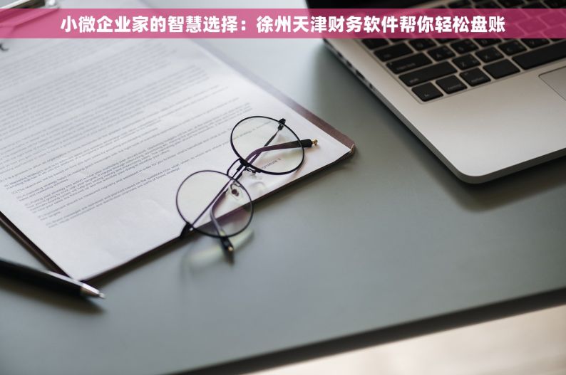 小微企业家的智慧选择：徐州天津财务软件帮你轻松盘账