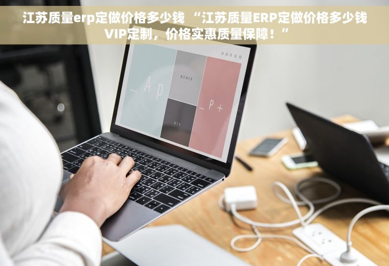 江苏质量erp定做价格多少钱 “江苏质量ERP定做价格多少钱 VIP定制，价格实惠质量保障！”