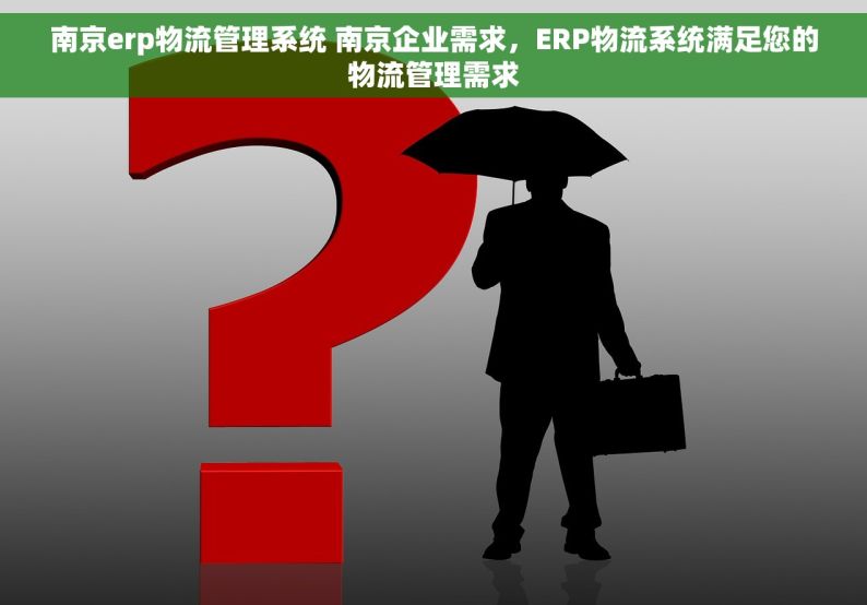 南京erp物流管理系统 南京企业需求，ERP物流系统满足您的物流管理需求