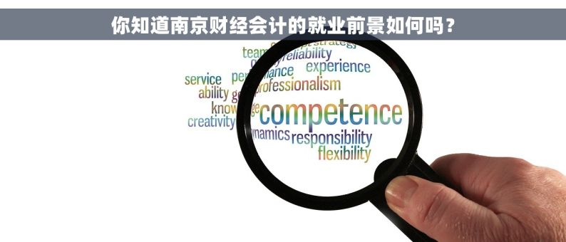 你知道南京财经会计的就业前景如何吗？
