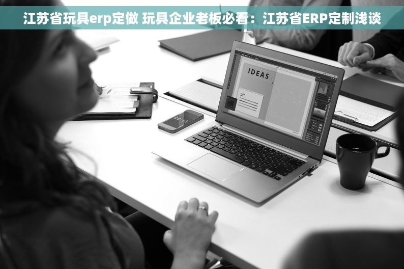 江苏省玩具erp定做 玩具企业老板必看：江苏省ERP定制浅谈