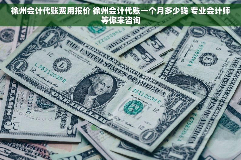 徐州会计代账费用报价 徐州会计代账一个月多少钱 专业会计师等你来咨询