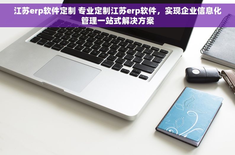 江苏erp软件定制 专业定制江苏erp软件，实现企业信息化管理一站式解决方案